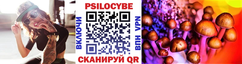 Галлюциногенные грибы Psilocybe  Рыльск 